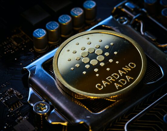 Cardano Whales Engage in Significant ADA Purchases