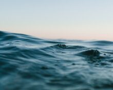 Urgent Action Needed as Global Ocean Temperatures Reach Alarming Highs